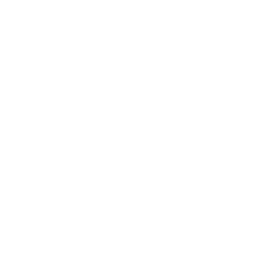 ce logo Chico