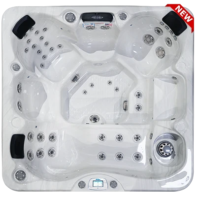 Avalon-X EC-849LX hot tubs for sale in Chico