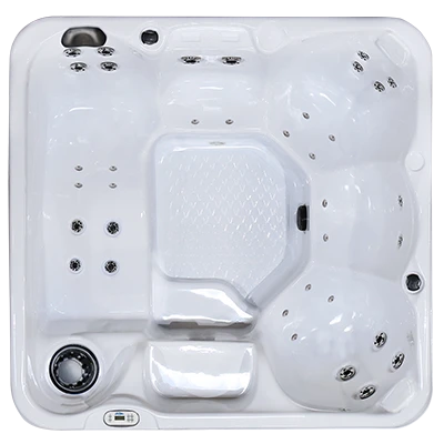 Hawaiian PZ-636L hot tubs for sale in Chico